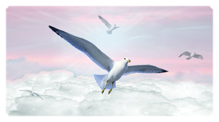 DSC700 101 PK Journey Home Clouds Birds Pink